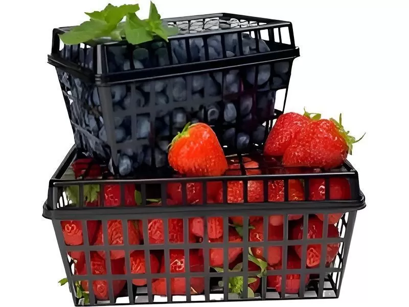 Корзина для ягод п/п 132х88х75 0,5л. с крышкой, перфорированная, код: 36946