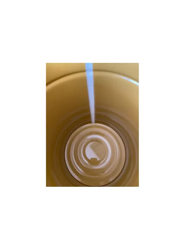 Ведро металлическое 20 л с покрытием внутри крышка-корона, арт. ВМк 20с с покрытием, код: 22877